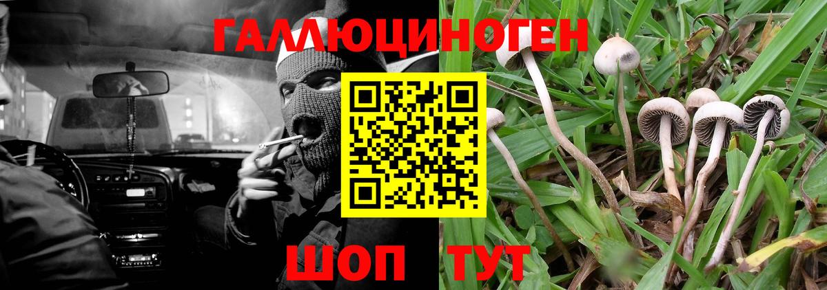 Удомля  Псилоцибиновые грибы GOLDEN TEACHER  Вход с VPN 